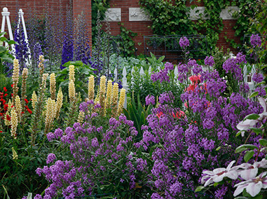 oakwood-gardens-summer-gallery-preview